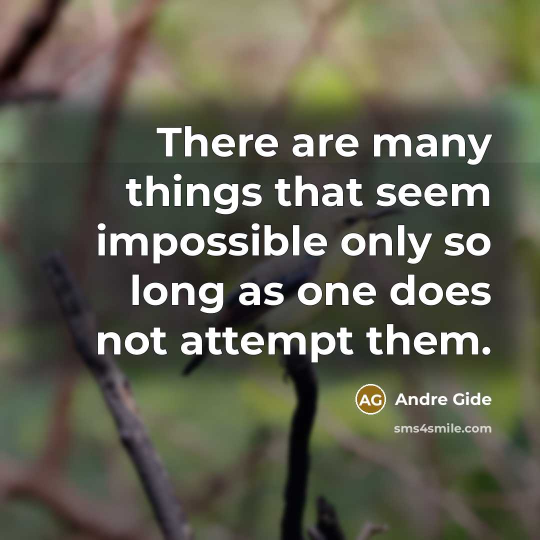 “There are many things that seem impossible only so long as one does not attempt them.” quote by Andre Gide