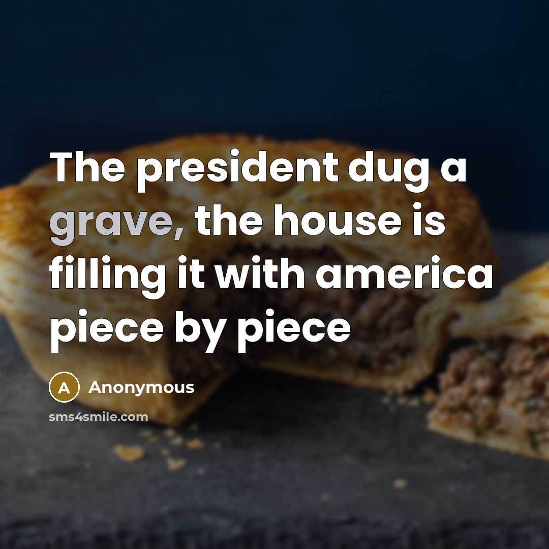 “The president dug a grave, the house is filling it with america piece by piece” quote by Anonymous