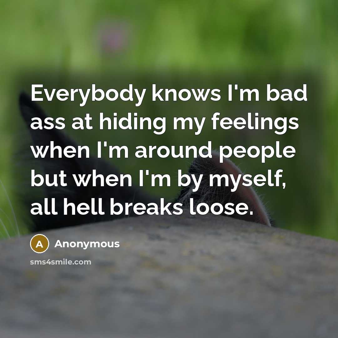 “Everybody knows I'm bad ass at hiding my feelings when I'm around people but when I'm by myself, all hell breaks loose.” quote by Anonymous