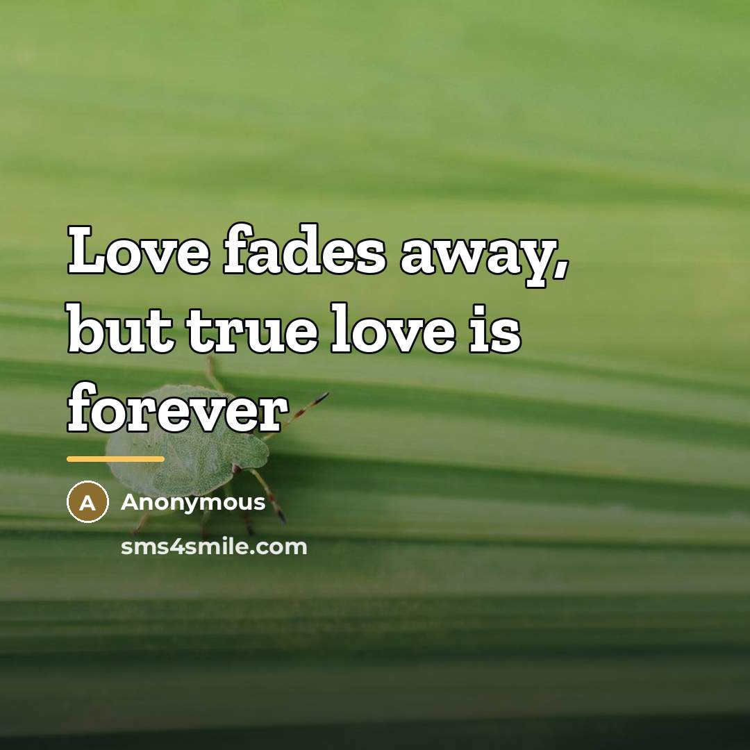 “Love fades away, but true love is forever…” quote by Anonymous