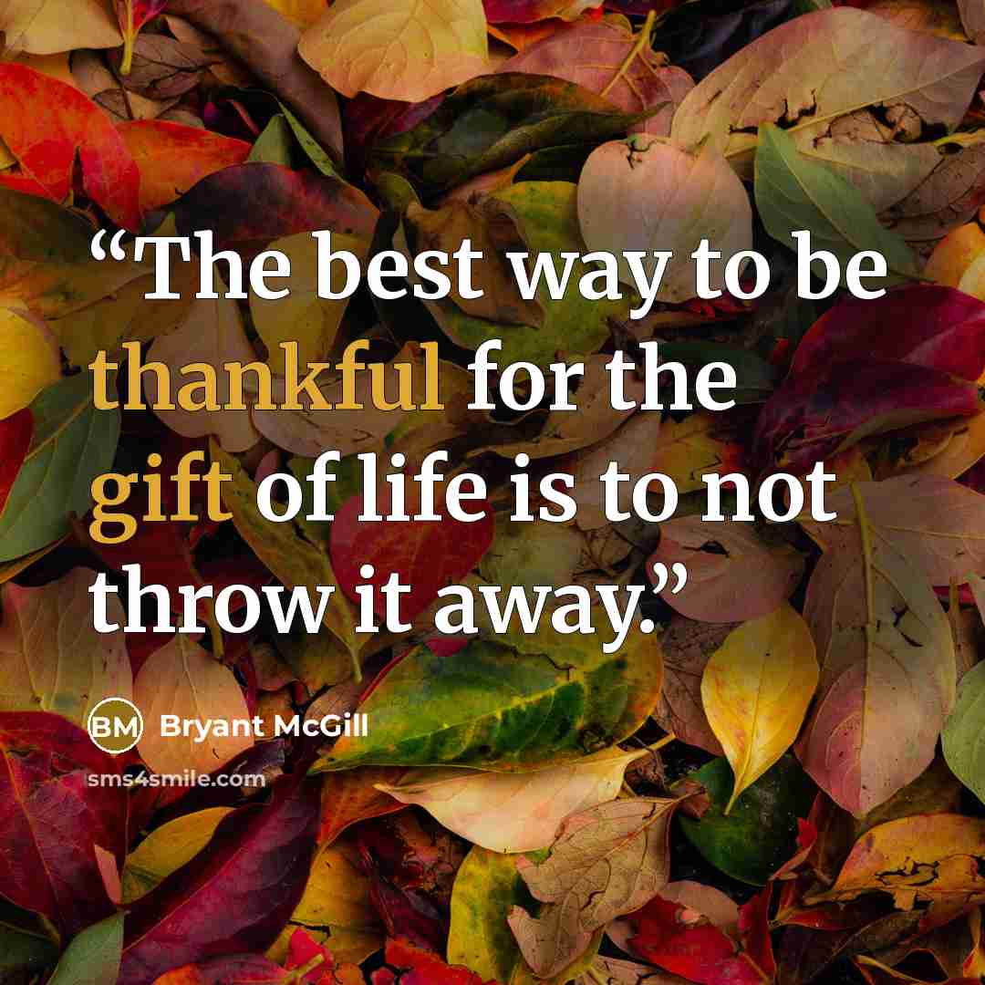 “The best way to be thankful for the gift of life is to not throw it away.” quote by Bryant McGill