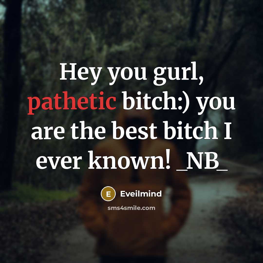“Hey you gurl, pathetic bitch:) you are the best bitch I ever known! _NB_” quote by Eveilmind