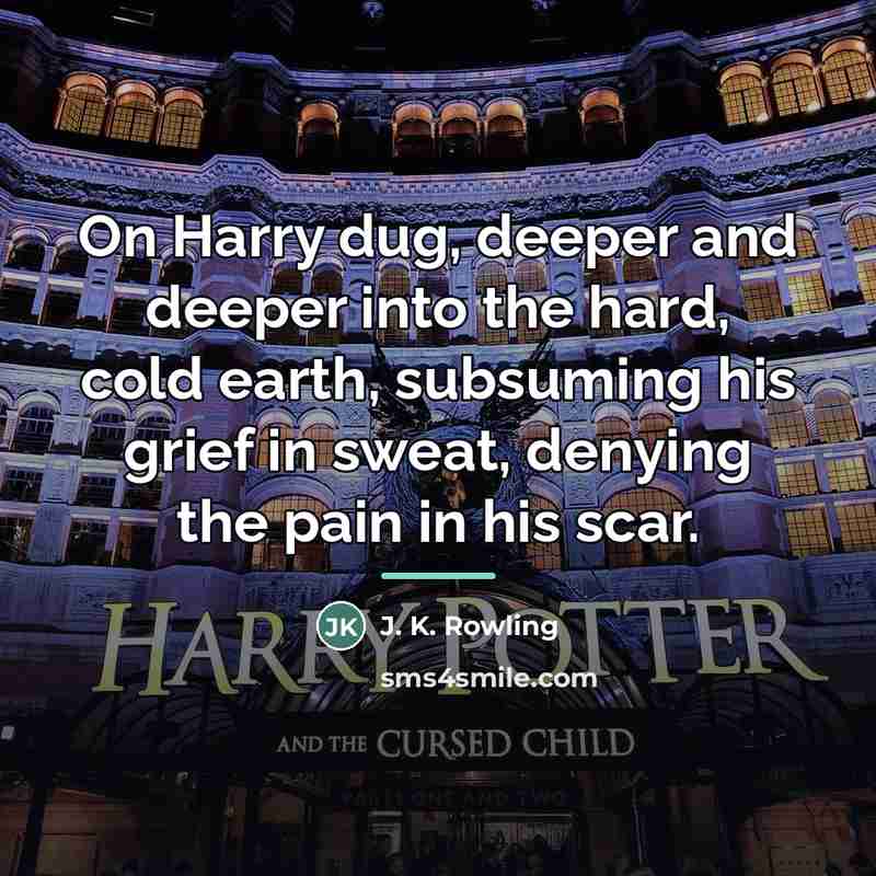 “On Harry dug, deeper and deeper into the hard, cold…” quote by J. K. Rowling