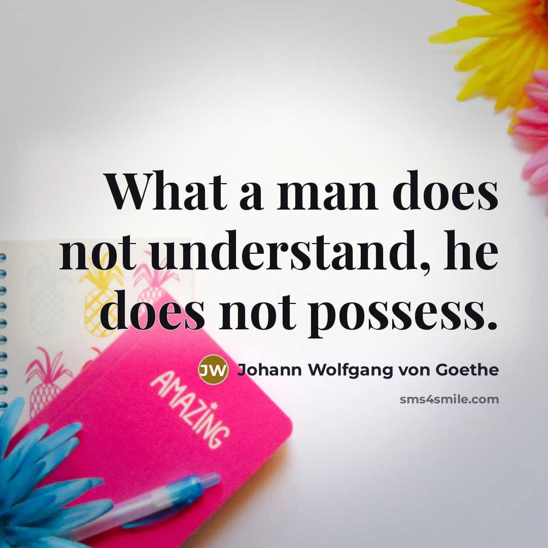 “What a man does not understand, he does not possess.…” quote by Johann Wolfgang von Goethe