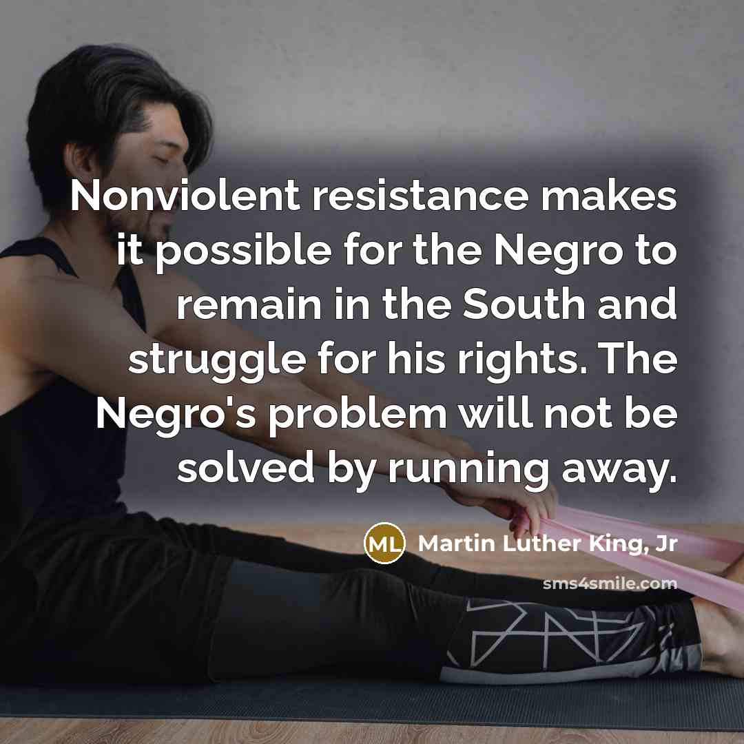 “Nonviolent resistance makes it possible for the Negro to remain…” quote by Martin Luther King, Jr