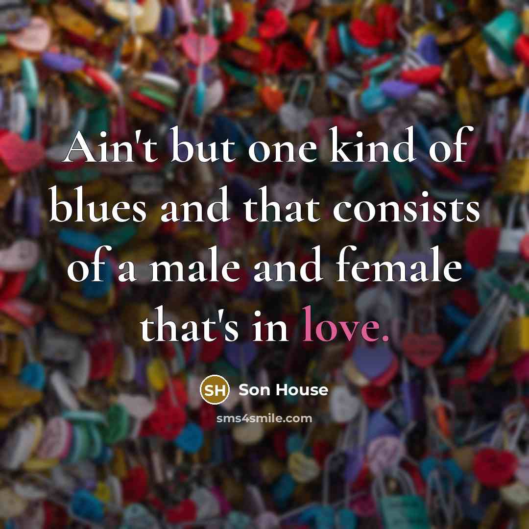 “Ain't but one kind of blues and that consists of a male and female that's in love.” quote by Son House