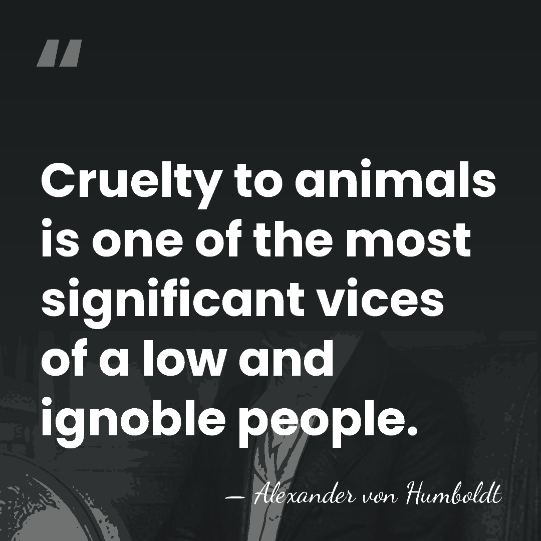 Cruelty to animals is one of the most significant vices of a&hellip; - Alexander von Humboldt
