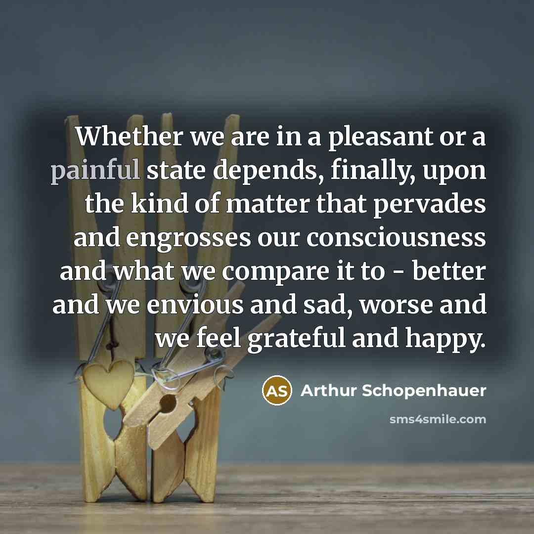 “Whether we are in a pleasant or a painful state…” quote by Arthur Schopenhauer
