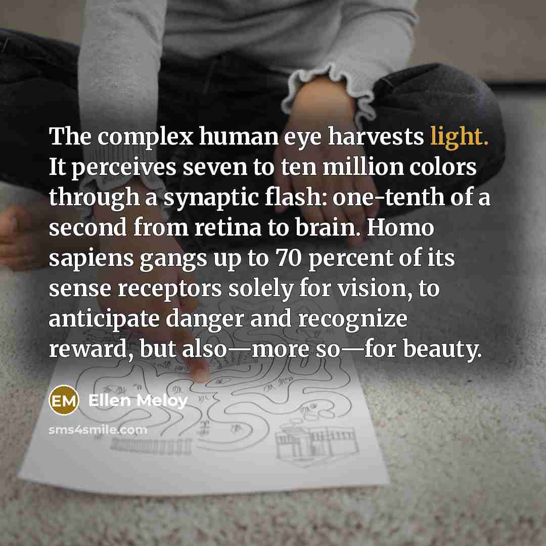 “The complex human eye harvests light. It perceives seven to…” quote by Ellen Meloy