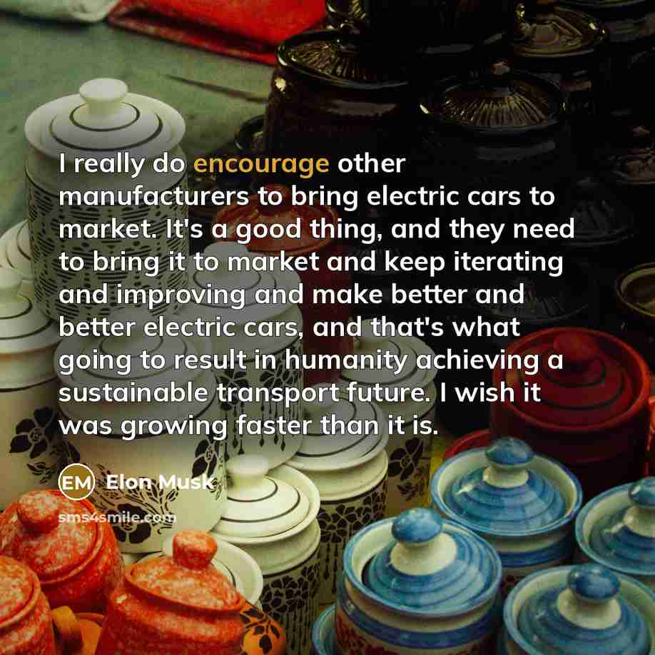 “I really do encourage other manufacturers to bring electric cars…” quote by Elon Musk