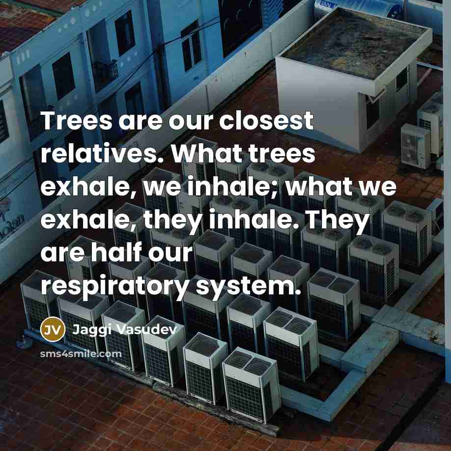 “Trees are our closest relatives. What trees exhale, we inhale; what we exhale, they inhale. They are half our respiratory system.” quote by Jaggi Vasudev