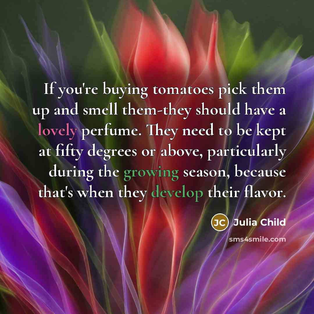 “If you're buying tomatoes pick them up and smell them-they…” quote by Julia Child