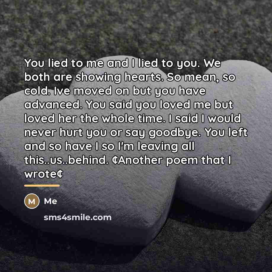 “You lied to me and I lied to you. We…” quote by Me