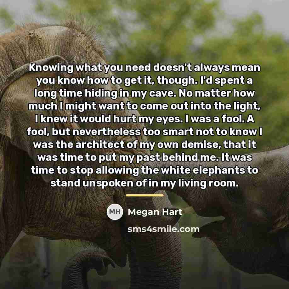 “Knowing what you need doesn't always mean you know how…” quote by Megan Hart