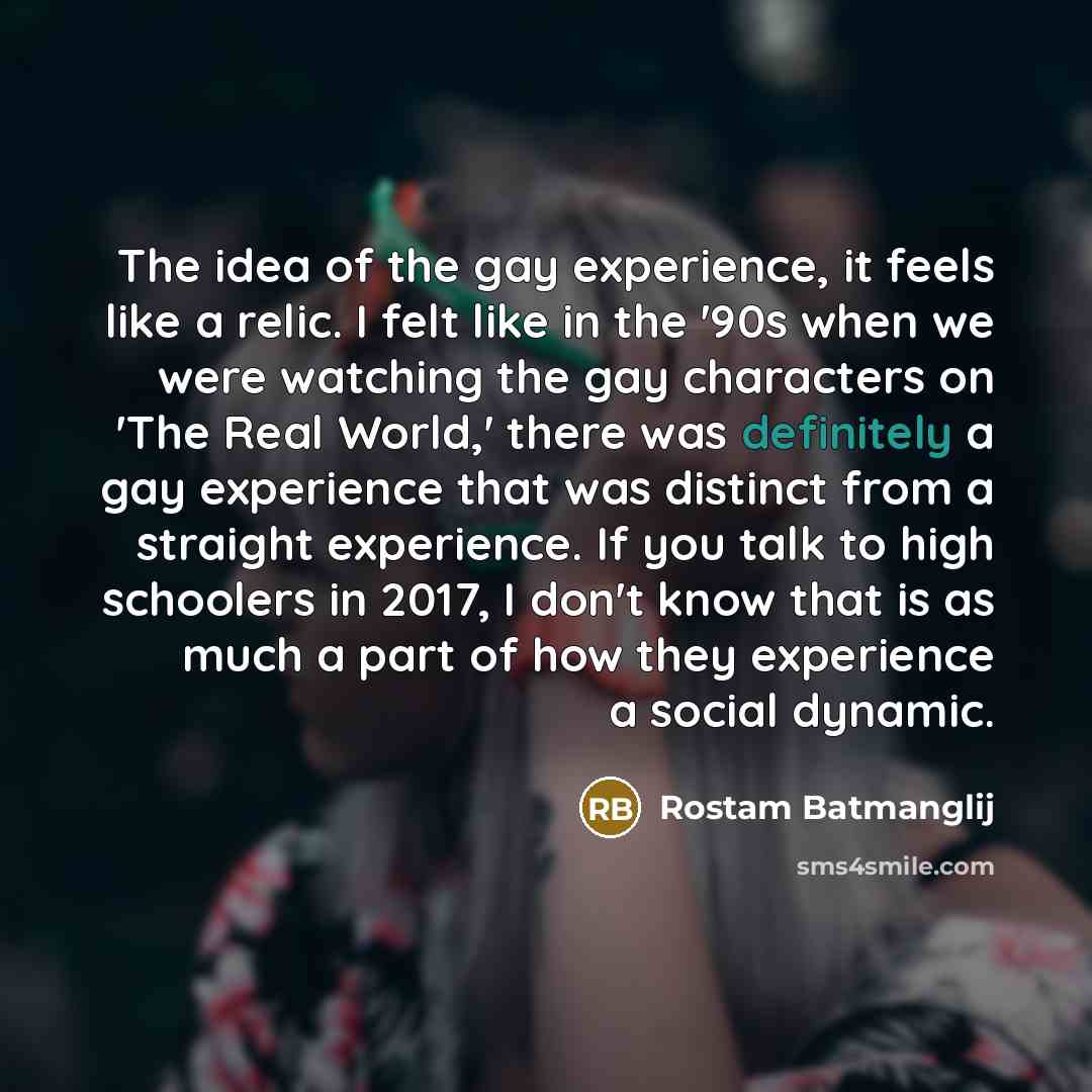 “The idea of the gay experience, it feels like a…” quote by Rostam Batmanglij