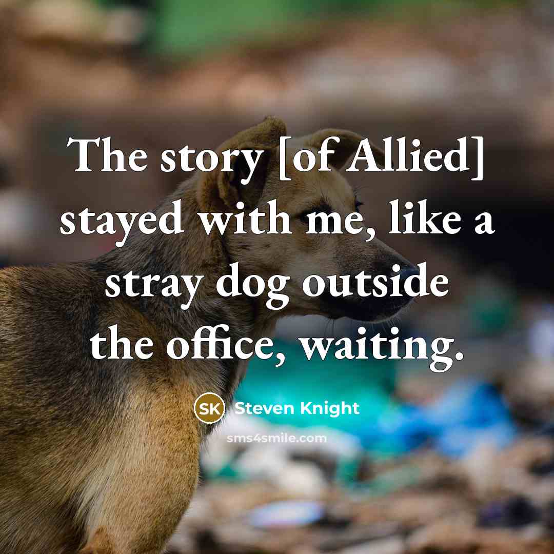 “The story [of Allied] stayed with me, like a stray…” quote by Steven Knight