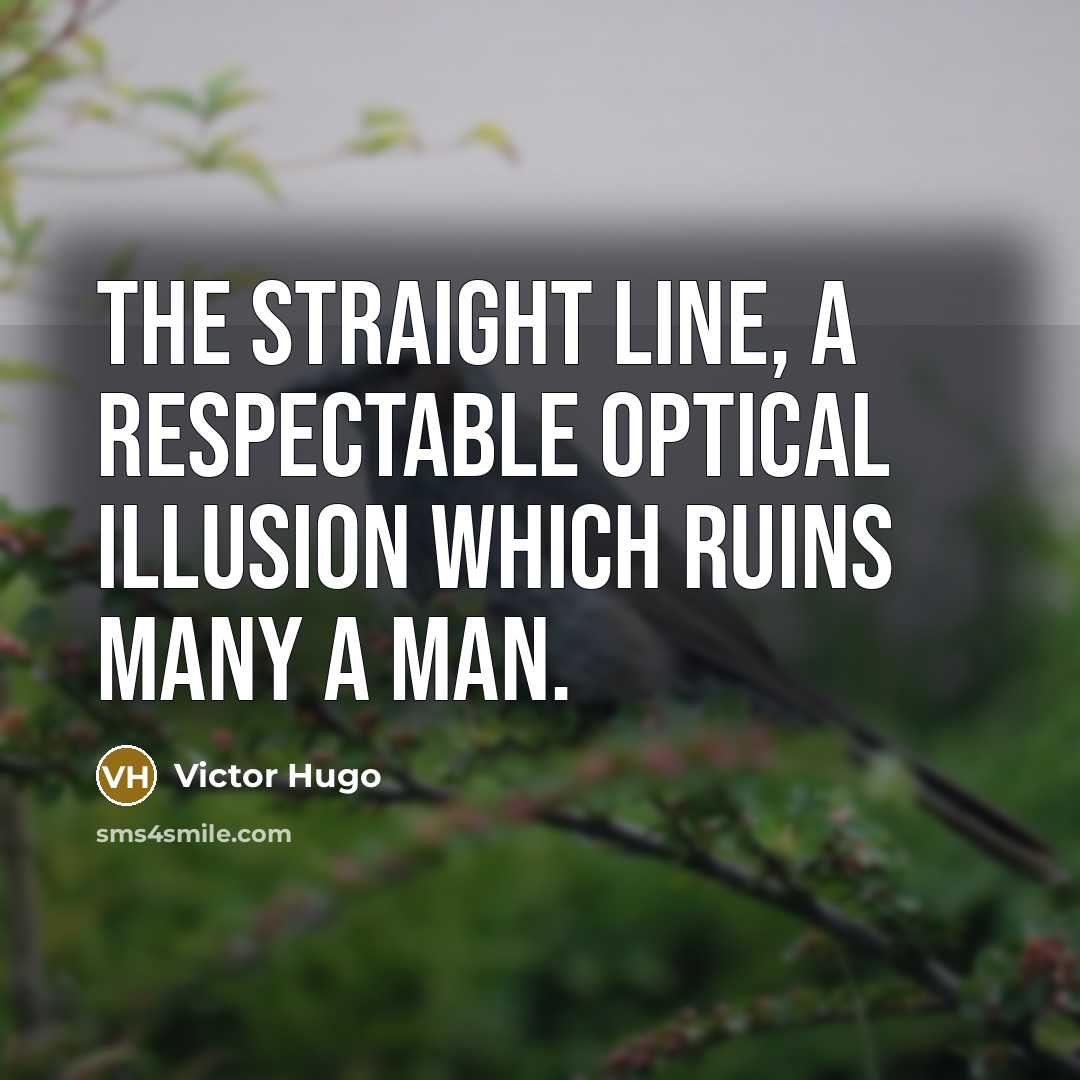 “The straight line, a respectable optical illusion which ruins many…” quote by Victor Hugo