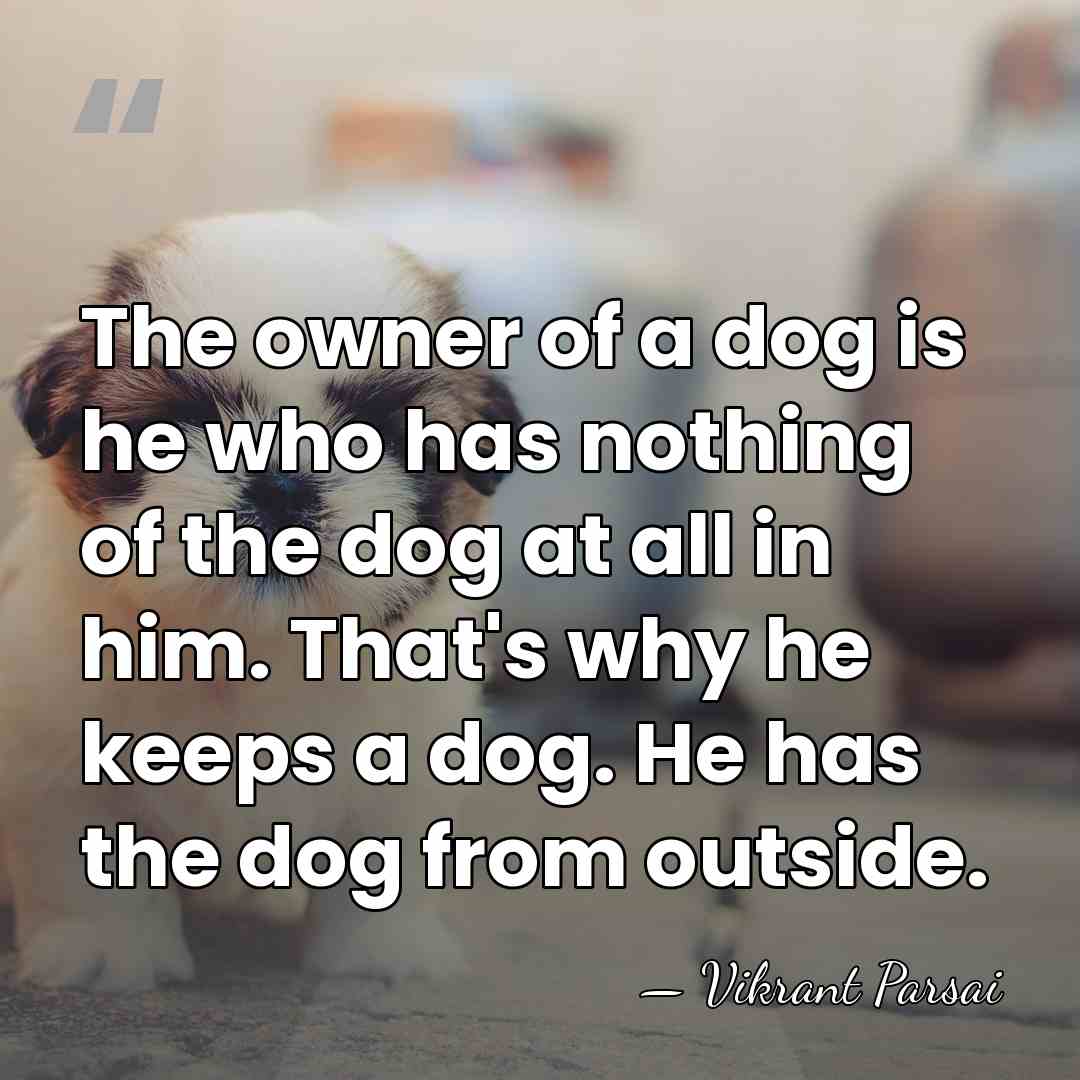 The owner of a dog is he who has nothing of the&hellip; - Vikrant Parsai