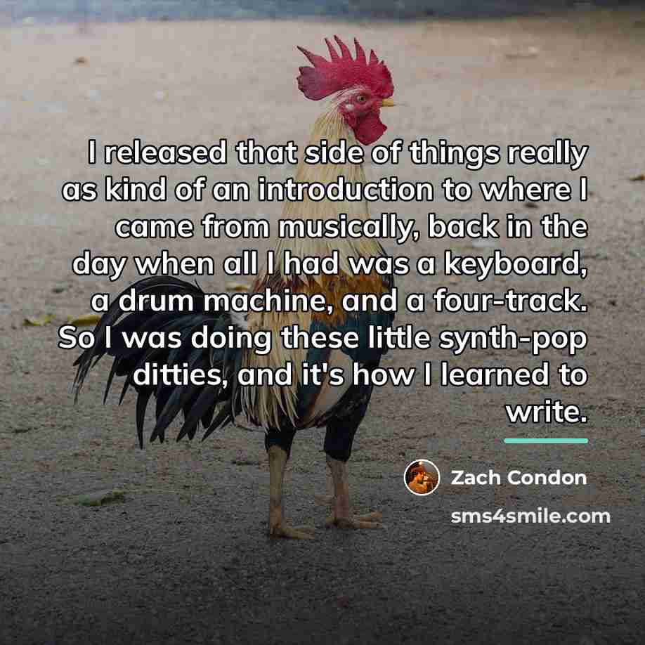 “I released that side of things really as kind of…” quote by Zach Condon