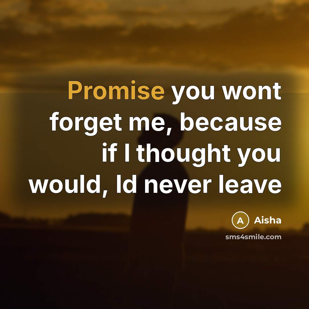 “Promise you wont forget me, because if I thought you…” quote by Aisha
