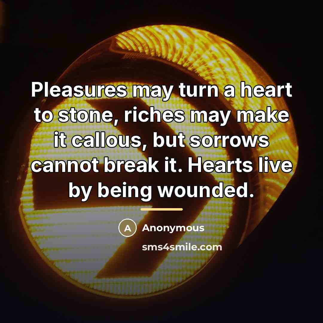 “Pleasures may turn a heart to stone, riches may make…” quote by Anonymous