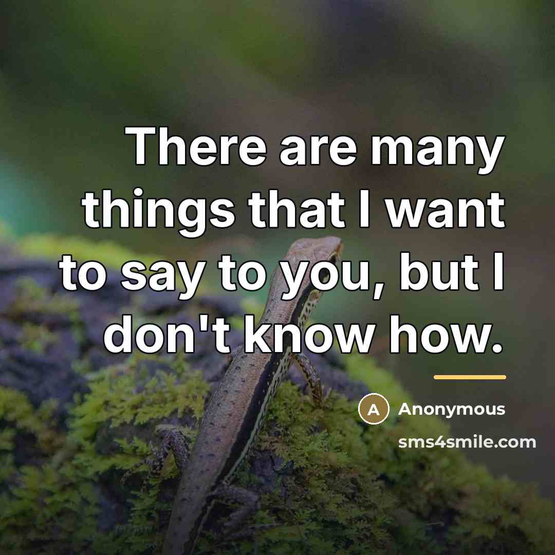 “There are many things that I want to say to…” quote by Anonymous