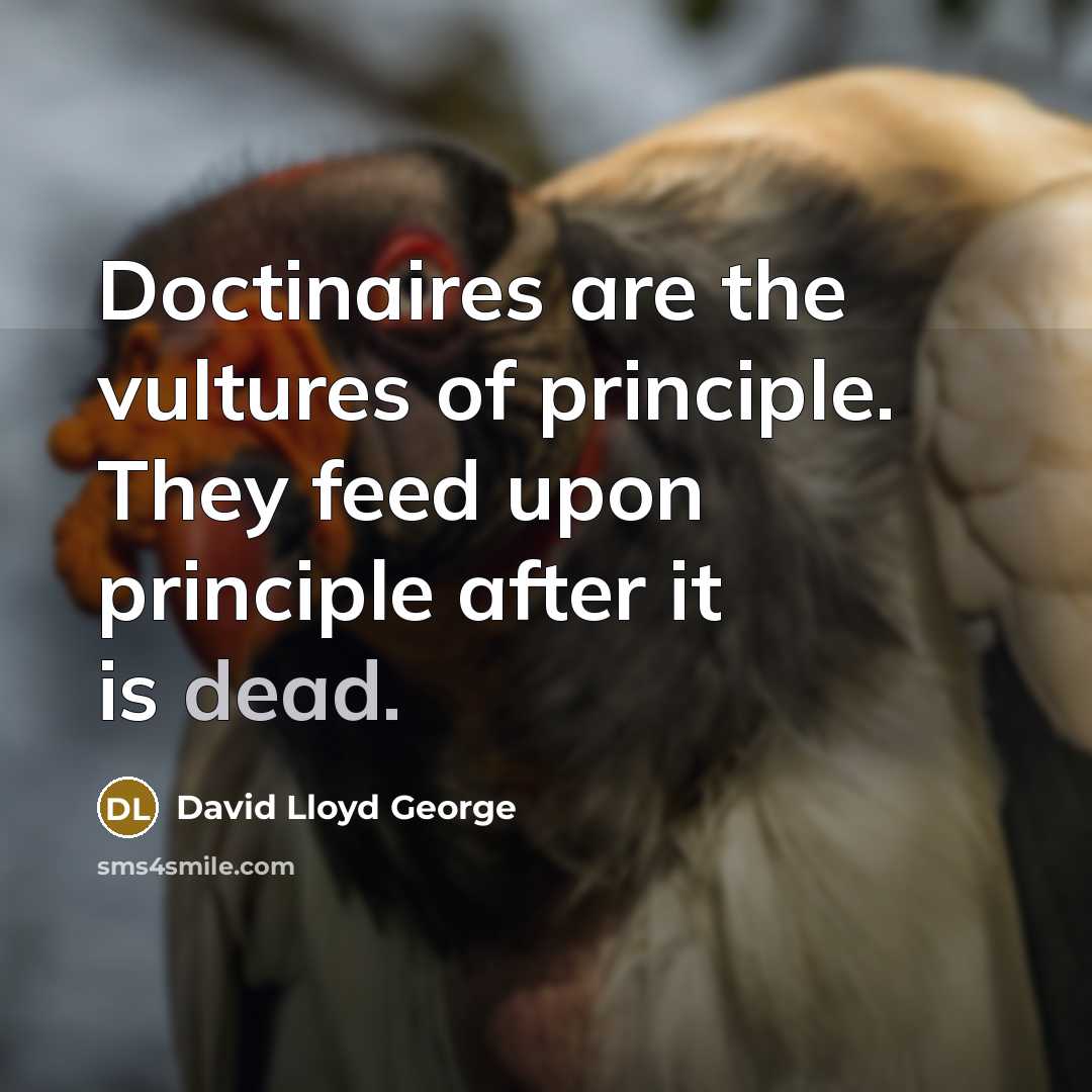 “Doctinaires are the vultures of principle. They feed upon principle…” quote by David Lloyd George