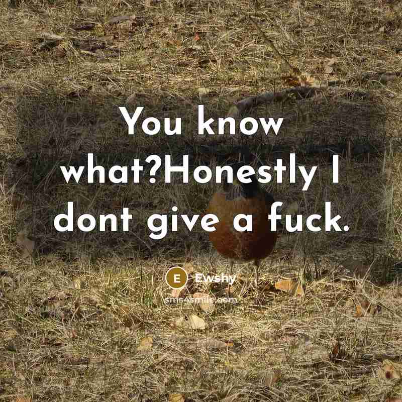 “You know what?Honestly I dont give a fuck.…” quote by Ewshy