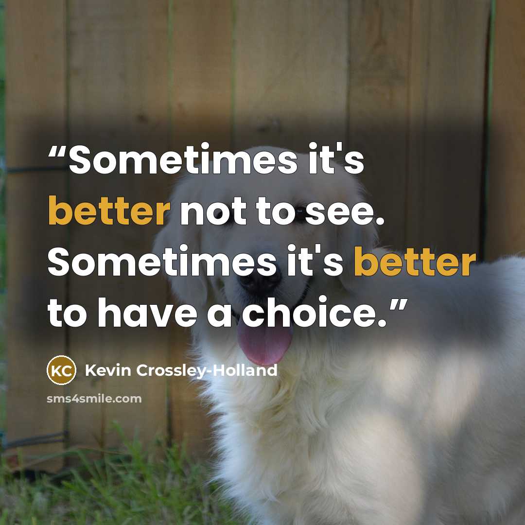 “Sometimes it's better not to see. Sometimes it's better to have a choice.” quote by Kevin Crossley-Holland