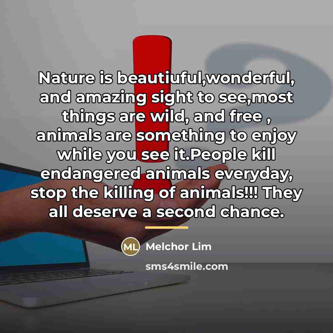 “Nature is beautiuful,wonderful, and amazing sight to see,most things are…” quote by Melchor Lim