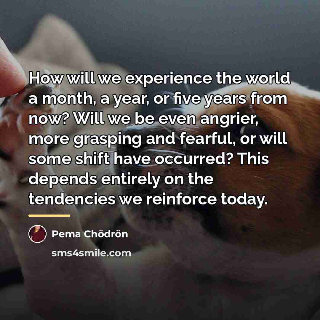 “How will we experience the world a month, a year,…” quote by Pema Chodron