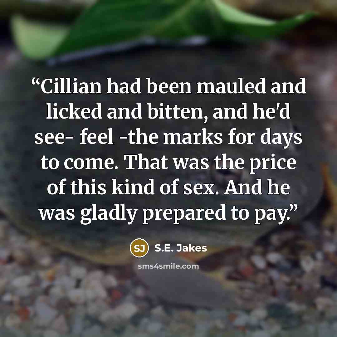 “Cillian had been mauled and licked and bitten, and he'd see- feel -the marks for days to come. That was the price of this kind of sex. And he was gladly prepared to pay.” quote by S.E. Jakes