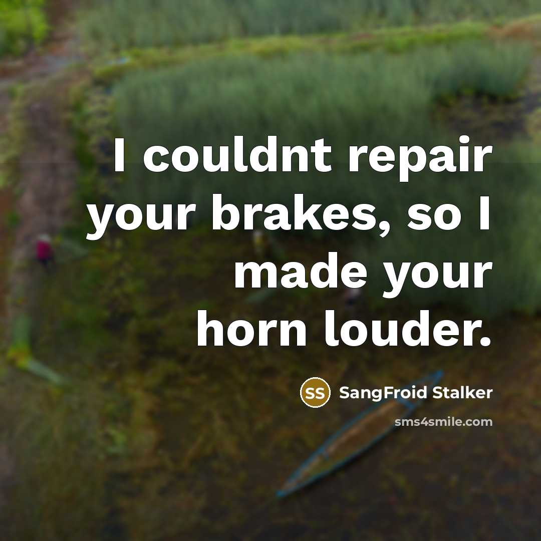 “I couldnt repair your brakes, so I made your horn louder.” quote by SangFroid Stalker
