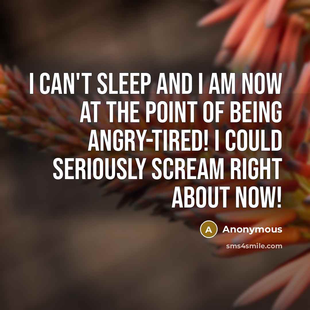 “I can't sleep and I am now at the point…” quote by Anonymous