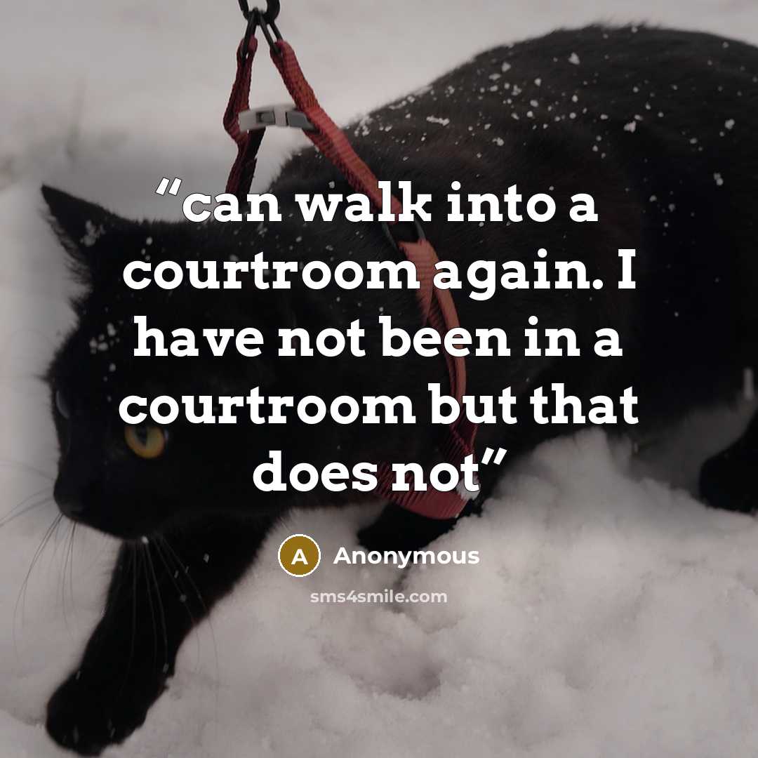 “can walk into a courtroom again. I have not been in a courtroom but that does not” quote by Anonymous