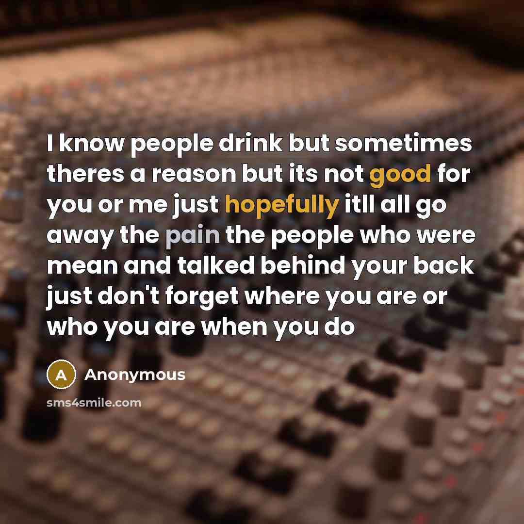 “I know people drink but sometimes theres a reason but its not good for you or me just hopefully itll all go away the pain the people who were mean and talked behind your back just don't forget where you are or who you are when you do” quote by Anonymous