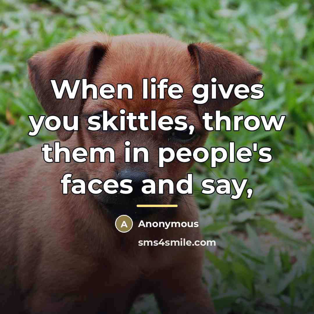 “When life gives you skittles, throw them in people's faces…” quote by Anonymous