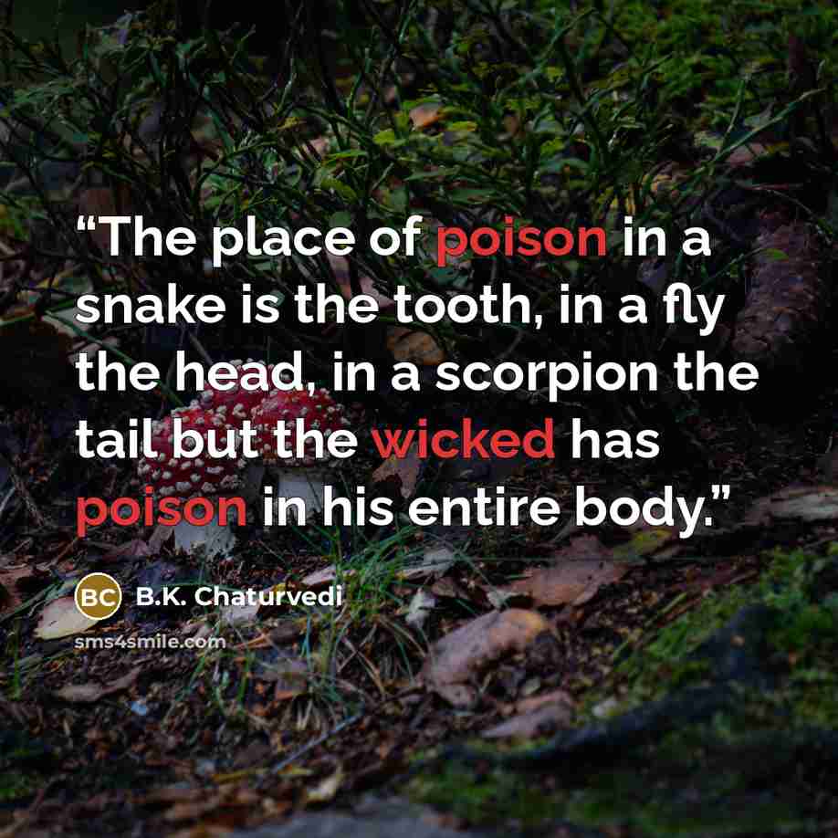 “The place of poison in a snake is the tooth, in a fly the head, in a scorpion the tail but the wicked has poison in his entire body.” quote by B.K. Chaturvedi