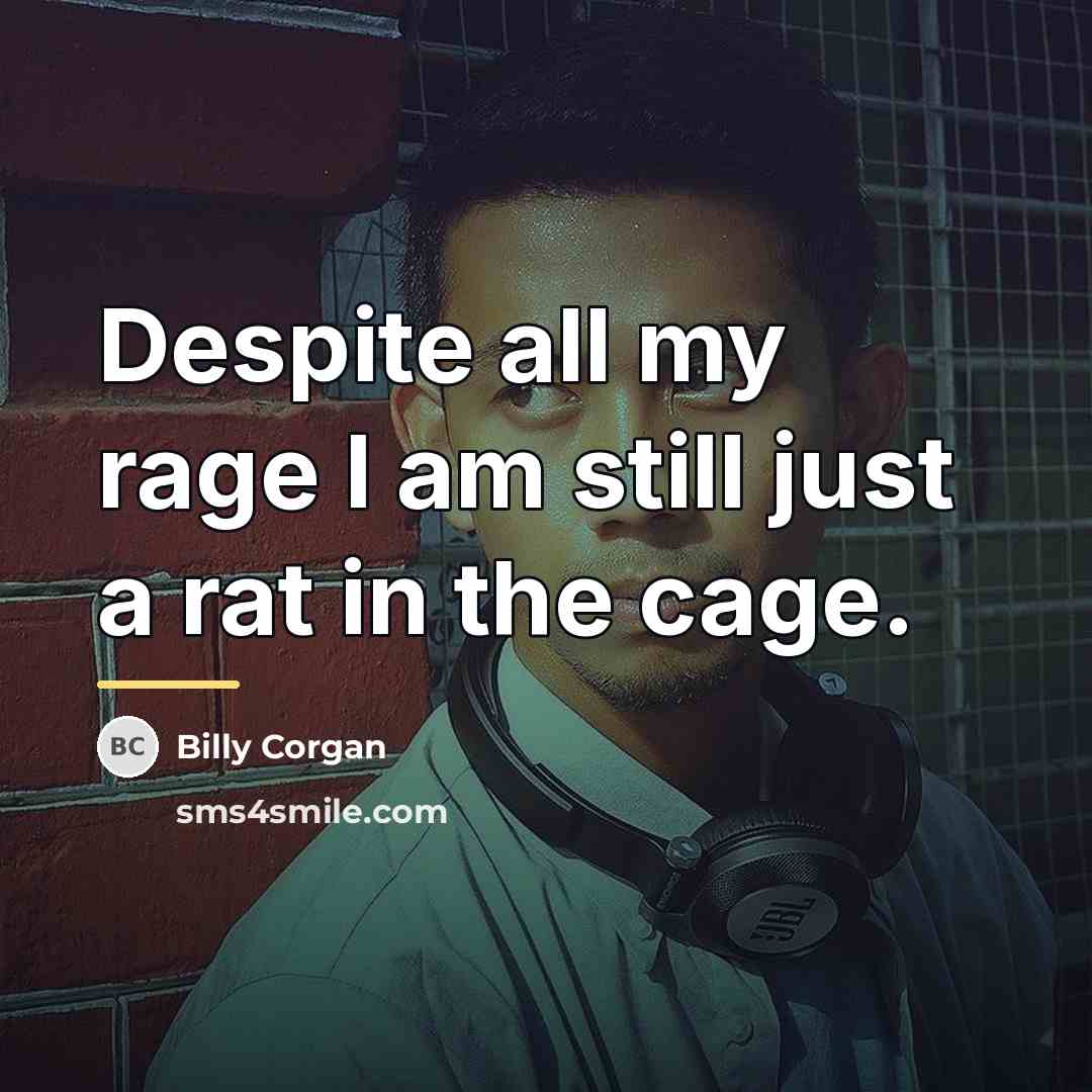 “Despite all my rage I am still just a rat…” quote by Billy Corgan