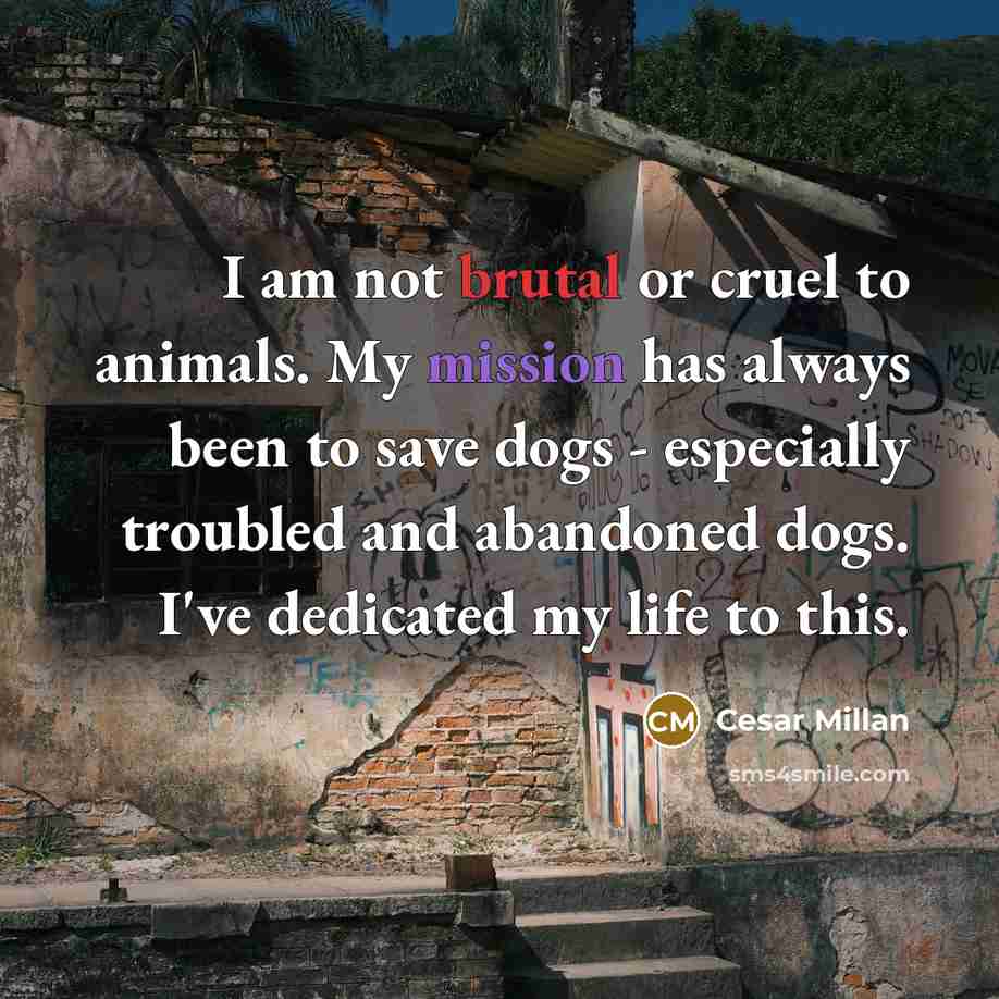 “I am not brutal or cruel to animals. My mission…” quote by Cesar Millan