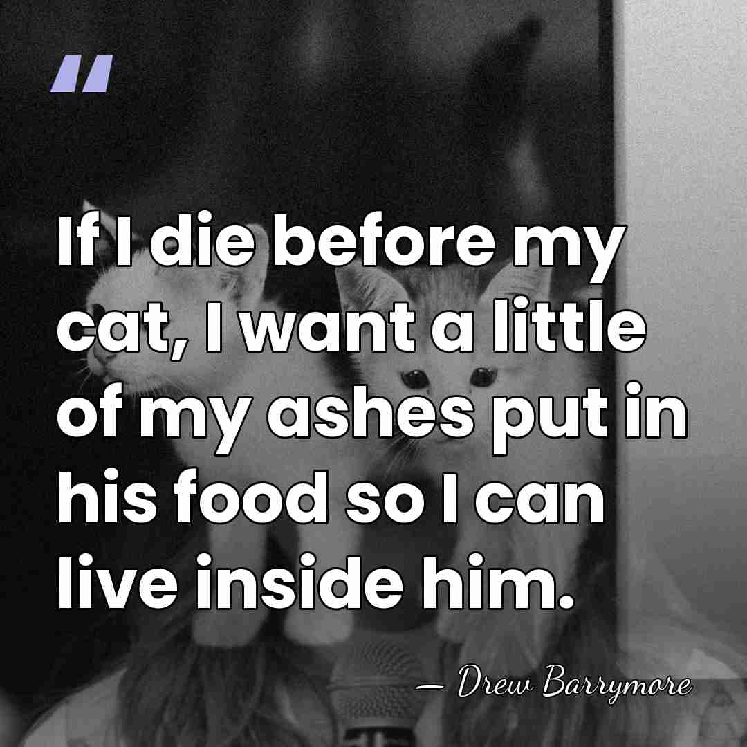 If I die before my cat, I want a little of my&hellip; - Drew Barrymore