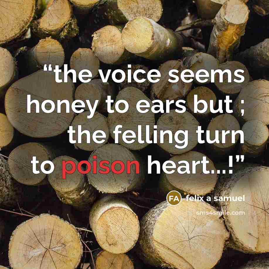 “the voice seems honey to ears but ; the felling turn to poison heart...!” quote by felix a samuel