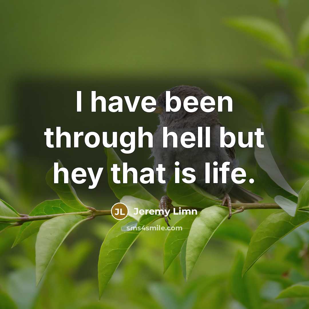 “I have been through hell but hey that is life.…” quote by Jeremy Limn