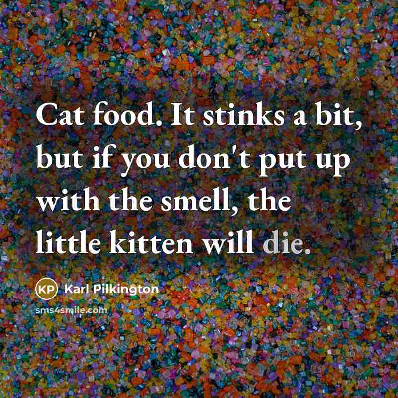 “Cat food. It stinks a bit, but if you don't…” quote by Karl Pilkington