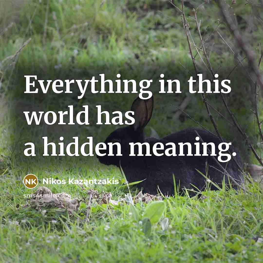 “Everything in this world has a hidden meaning.…” quote by Nikos Kazantzakis