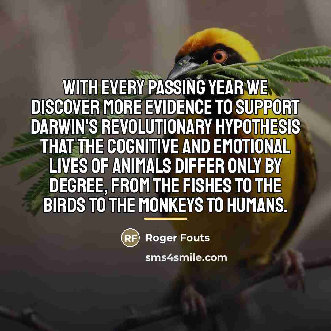 “With every passing year we discover more evidence to support…” quote by Roger Fouts