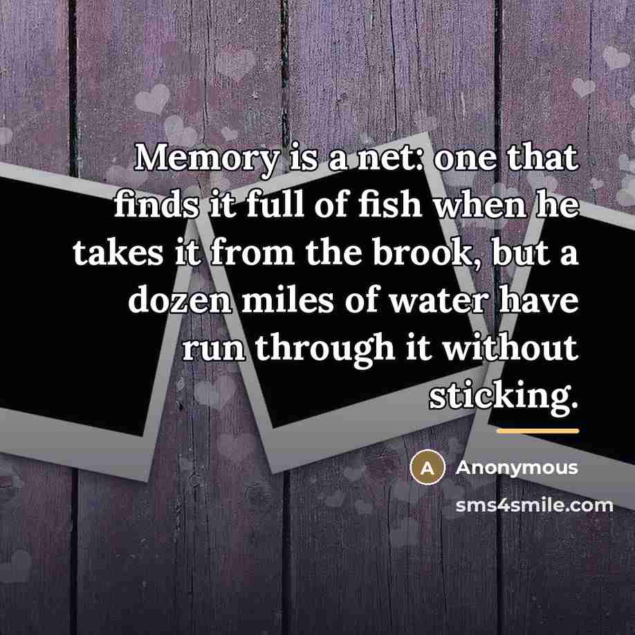 “Memory is a net: one that finds it full of…” quote by Anonymous