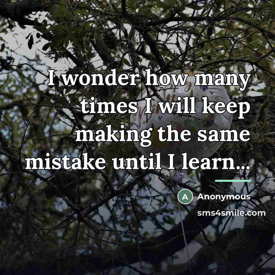 “I wonder how many times I will keep making the…” quote by Anonymous