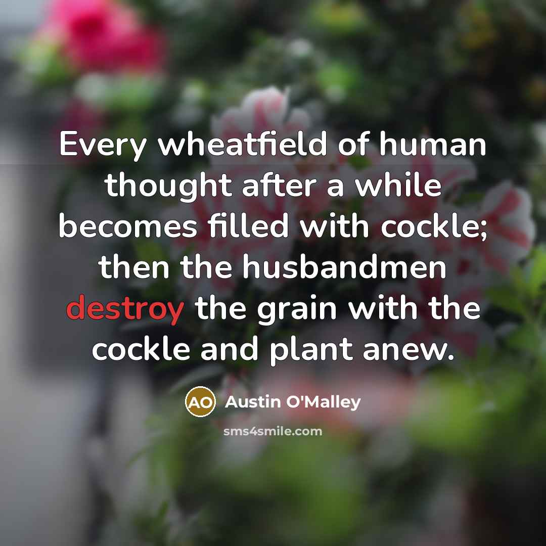 “Every wheatfield of human thought after a while becomes filled…” quote by Austin O'Malley