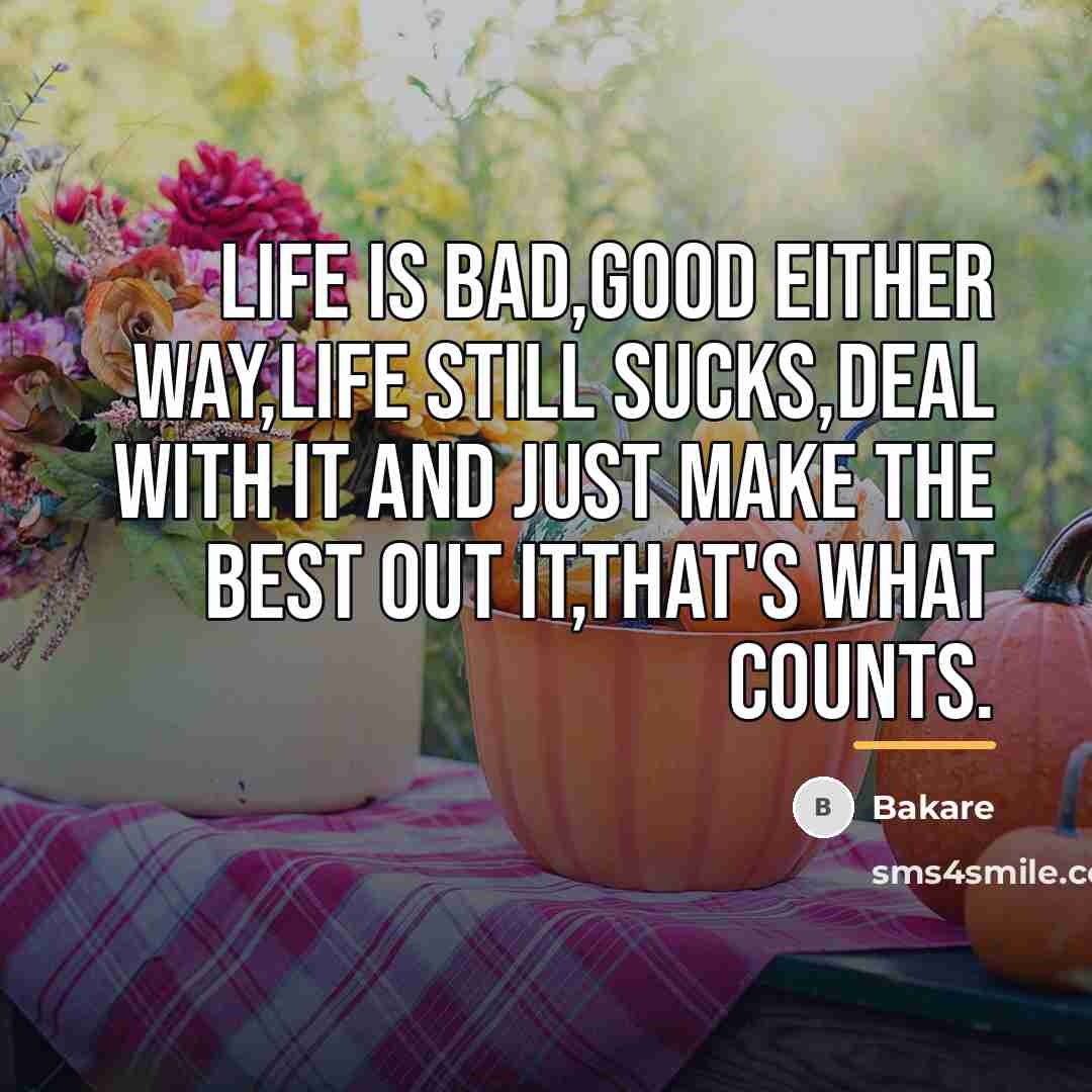 “Life is bad,good either way,life still sucks,deal with it and…” quote by Bakare